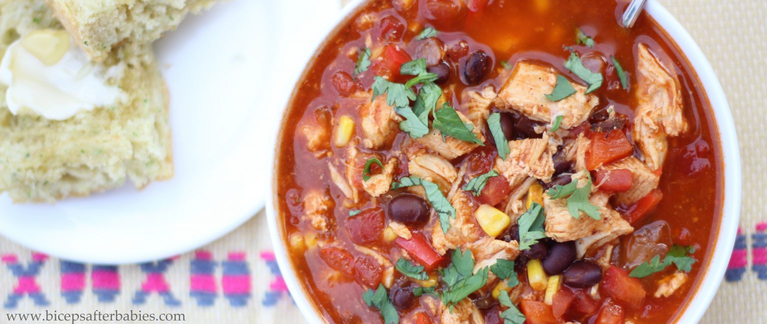 Chicken Enchilada Soup {High Protein, Low Fat & Low Carb} Biceps
